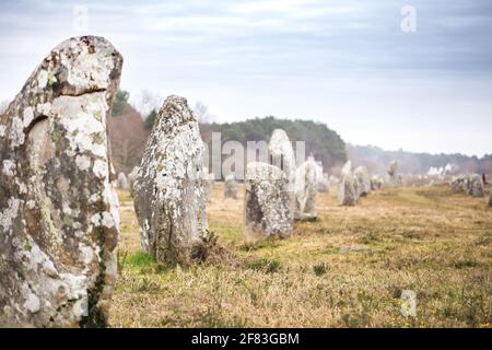 Allineamento di Manio (Carnac, Francia) - un sito archeologico del periodo neolitico Foto Stock