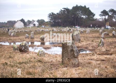 Allineamento di Manio (Carnac, Francia) - un sito archeologico del periodo neolitico Foto Stock