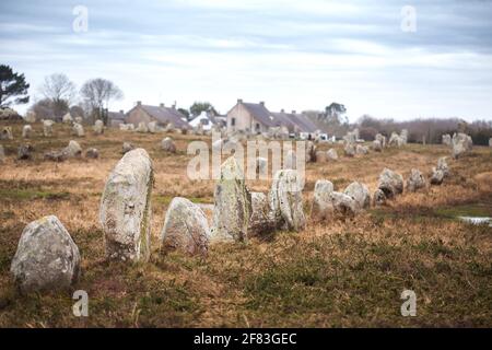 Allineamento di Manio (Carnac, Francia) - un sito archeologico del periodo neolitico Foto Stock