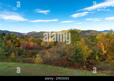 Paesaggio di montagna coperto di foreste decidui alla cima di caduta fogliame in un giorno di autunno chiaro Foto Stock