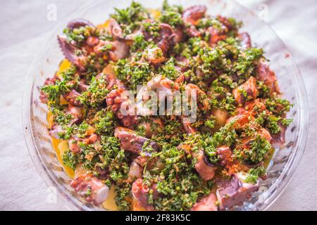 Polpo con patate in salsa di parley Foto Stock