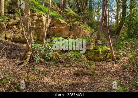 Piccola cava di arenaria abbandonata al sole in Newfield Spring Wood, antico bosco di Jordanthorpe, vicino a Sheffield Foto Stock