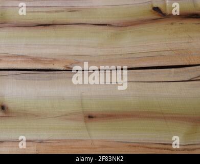 Lastre piccole di Pioppo Arcobaleno Foto Stock