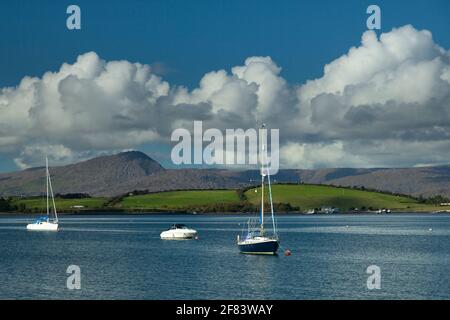 Isola di Whiddy e barche nella baia di Bantry sul selvaggio Atlantic Way a West Cork in Irlanda Foto Stock