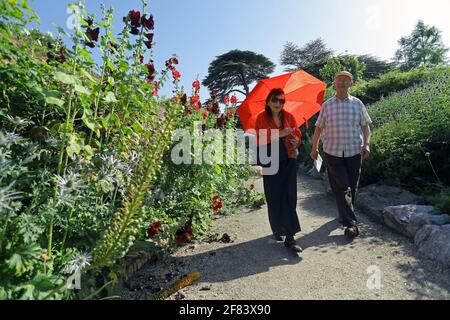 I visitatori di tutto il mondo giardino di piante a Lullingstone Castle, Kent, Inghilterra Foto Stock