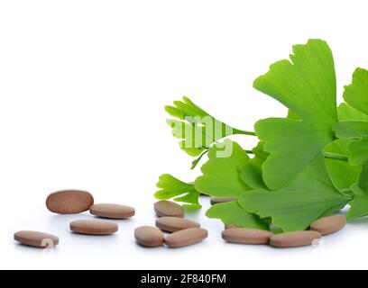 Foglie di Ginkgo Biloba con pillole isolate su sfondo bianco. Foto Stock