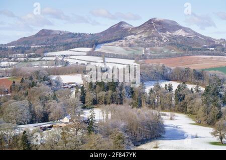 Le colline Eildon ai confini scozzesi, da Scott's View verso Melrose, all'inizio di aprile neve. immagine extra large da 60 megapixel. Foto Stock