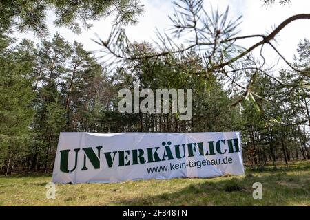 Schleife, Germania. 11 Apr 2021. Un banner con l'iscrizione 'UNVERKÄUFLICH www.kein-tagebau.de' è allestito nella foresta vicino a Schleife. L'azione di protesta 'Unverkäuflich' della rete ambientale di Grüne Liga a Schleife, nei pressi della miniera d'opencast Nochten, nel distretto di Görlitz, è diretta contro la minaccia del dragaggio di LEAG (Lausitz Energie Bergbau AG). Credit: Daniel Schäfer/dpa-Zentralbild/dpa/Alamy Live News Foto Stock