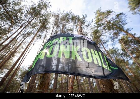 Schleife, Germania. 11 Apr 2021. Un banner con l'iscrizione STOP BRAUNKOHLE pende su due alberi. L'azione di protesta 'Unverkäuflich' della rete ambientale Grüne Liga a Schleife, nei pressi della miniera d'opencast Nochten, nel distretto di Görlitz, è diretta contro il minacciato dragaggio di LEAG. Credit: Daniel Schäfer/dpa-Zentralbild/dpa/Alamy Live News Foto Stock