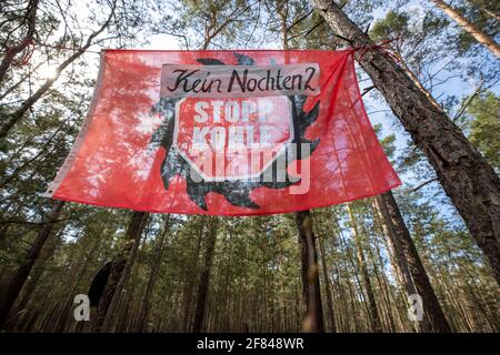 Schleife, Germania. 11 Apr 2021. Un banner con l'iscrizione Kein Nochten 2 STOPP KOHLE pende su due alberi. L'azione di protesta 'invendibile' della rete ambientale Grüne Liga a di Schleife, nei pressi della miniera d'opencast Nochten, nel distretto di Görlitz, è diretta contro il minacciato dragaggio di LEAG. Credit: Daniel Schäfer/dpa-Zentralbild/dpa/Alamy Live News Foto Stock