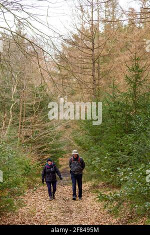Coppia anziana Escursioni in pista nella foresta Foto Stock