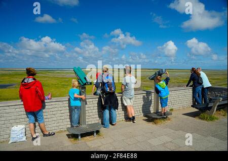 Punto panoramico, riserva naturale De Slufter, visitatori sulla duna di osservazione, isola di Texel, Olanda del Nord, Paesi Bassi Foto Stock