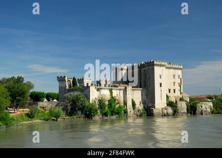 Castello, Chateau Royal, Tarascon, sul Rodano, Bocche del Rodano, Provenza, Francia meridionale, Francia Foto Stock