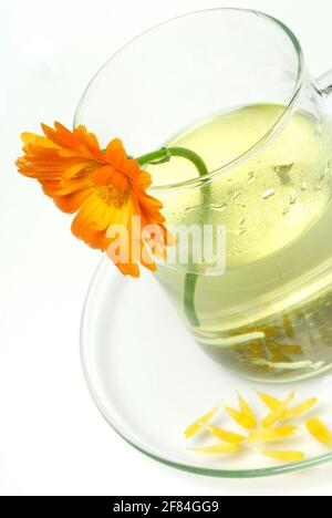 Tazza di tè, tè marigolds Foto Stock