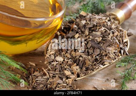 Radice di asparagi cinese, tazza di tè radice di asparagi (Asparaginis Radix) Foto Stock