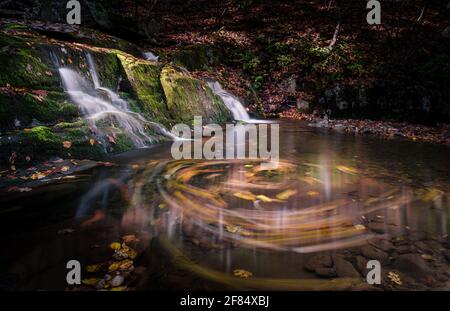 Le foglie di colore autunnale nel fiume Rose all'interno del Parco Nazionale di Shenandoah, Virginia. Foto Stock