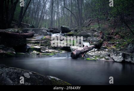 Una scena di foresta di Moody lungo il fiume Rose nel Parco Nazionale di Shenandoah. Foto Stock