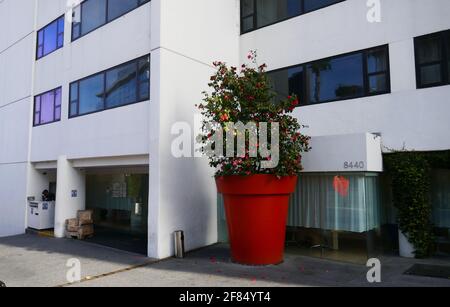 West Hollywood, California, USA 10 aprile 2021 UNA vista generale dell'atmosfera del Mondrian Hotel al 8440 Sunset Blvd il 10 aprile 2021 a West Hollywood, California, USA. Foto di Barry King/Alamy Stock foto Foto Stock