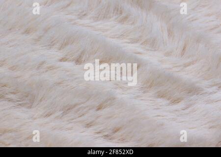 Pelliccia morbida in fibra lunga leggera. Pelliccia bianca per sfondo o consistenza. Soffice pelliccia finta di tessuto. Disposizione piatta, vista dall'alto, spazio per la copia Foto Stock