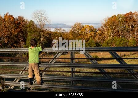 Ragazzo su recinzione che guarda su pascoli a vista montagna. Foto Stock