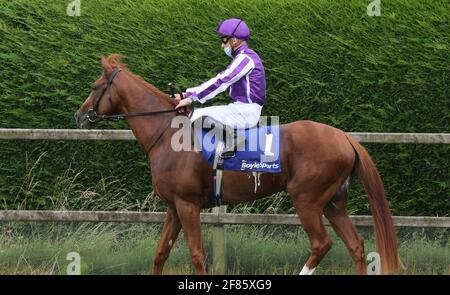 Corse di cavalli nel Regno Unito e in Irlanda. Down Royal Racecourse, Lisburn, Irlanda del Nord. 24 luglio 2020. BoyleSports Ulster Derby (Premier handicap) a porte chiuse. Cavallo da corsa Imperatore del Sole guidato da Gavin Ryan, addestrato da Donnacha Aidan o'Brien e di proprietà di Donnacha Aidan o'Brien. Foto Stock