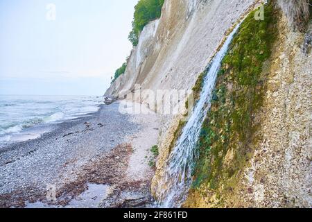 Scogliere di gesso bianco nel Parco Nazionale di Jasmund Foto Stock