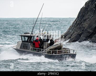 Barca turistica su Milford Sound, Nuova Zelanda, 28 marzo 2021 - UNA barca commerciale di pesca di nome Sabre 9278 esce da Milford Sound nel Mare di Tasman per controllare le trappole dell'aragosta in questa regione sud-occidentale della Nuova Zelanda. Credito: Rob Taggart/Alamy Foto Stock