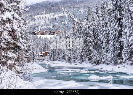 Neve fresca sugli alberi a Toby Creek vicino Invermere nel Kootenay National Park, British Columbia, Canada Foto Stock