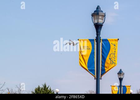 Frederick, MD, USA 04-07-2021: Immagine concettuale astratta con eleganti lampade nel parco cittadino Carroll Creek di Frederick. Ci sono banner atta Foto Stock