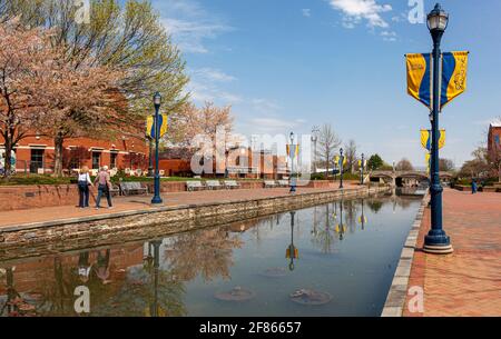 Frederick, MD, USA 04-07-2021: Vista di primavera di giorno del popolare parco cittadino chiamato Carroll Creek Park nel quartiere storico di Frederick con negozi e. Foto Stock