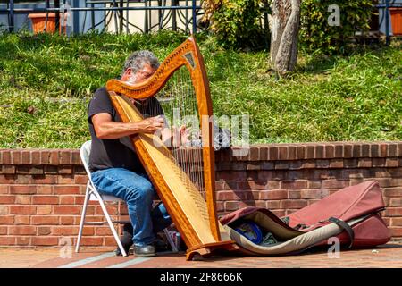 Frederick, MD, USA 04-07-2021: Immagine closeup di un musicista di strada che si esibisce sul marciapiede suonando la sua arpa. Il busker si siede su una sedia pieghevole Foto Stock