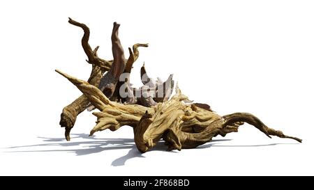 driftwood, mucchio di rami invecchiati isolato su sfondo bianco Foto Stock