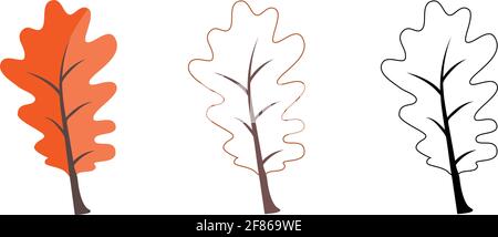 Set di diverse foglie di querce. Include foglie colorate, di contorno e bianco-nero. Illustrazione Vettoriale