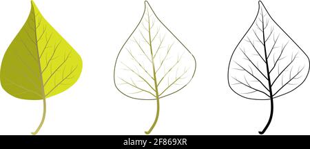Set di diverse foglie di betulla. Include foglie colorate, con contorno e contorno nero. Illustrazione Vettoriale