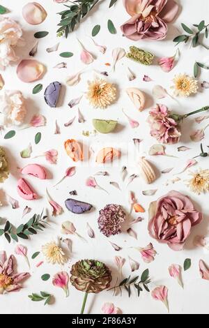 Composizione piatta con macaroni e fiori francesi multicolore uno sfondo bianco Foto Stock