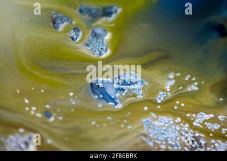 Sfondo astratto verde nella tecnica dell'arte fluida. Un mix di colori vivaci. Foto Stock