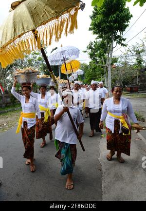 Processione di donne tradizionalmente vestite che portano offerte di templi / gebogani sulla loro testa vicino a Ubud, Bali, Indonesia. Foto Stock