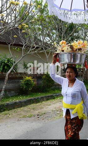 Processione di donne tradizionalmente vestite che portano offerte di templi / gebogani sulla loro testa vicino a Ubud, Bali, Indonesia. Foto Stock