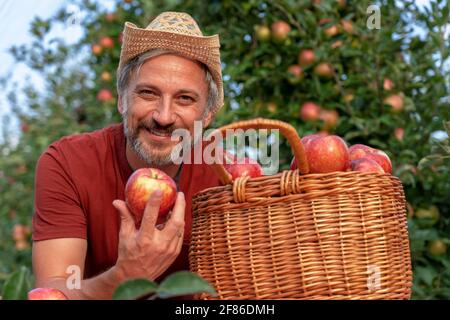 Carismatico agricoltore maturo con cappello che tiene la mela rossa. Concetto di cibo sano. Coltivatore che raccoglie le mele in un frutteto. Foto Stock