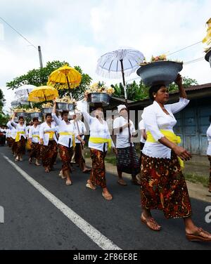 Processione di donne tradizionalmente vestite che portano offerte di templi / gebogani sulla loro testa vicino a Ubud, Bali, Indonesia. Foto Stock