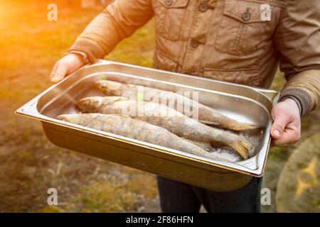 Pesce di fiume fresco fresco crudo su un pallet nel braccio di un pescatore. Un uomo tiene un contenitore con pesce fresco orata. Pesca, vassoio di metallo con riv fresco Foto Stock