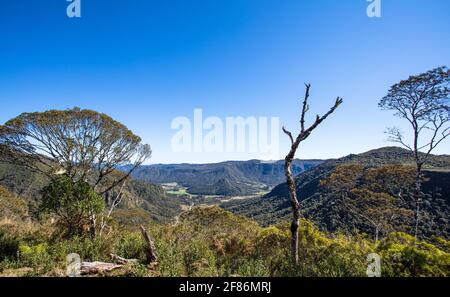 Paesaggio rurale con cespugli e verde a Santa Catarina, Brasile Foto Stock