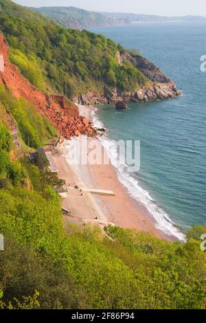 Frana a oddicombe vicino a Torquay in Devon Coast Foto Stock