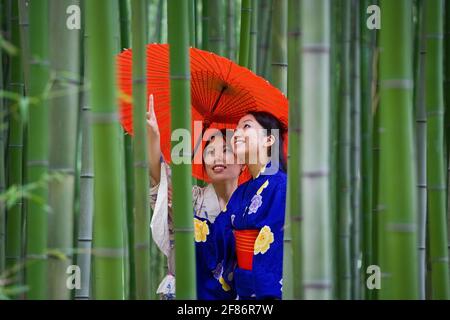 Belle giovani donne in kimonos con parasolo tra bambù Foto Stock
