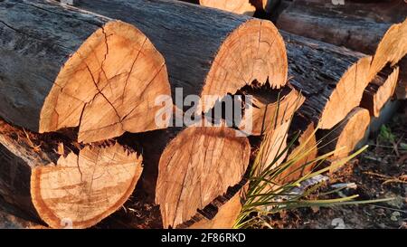 mucchio di legno che è stato alterato nel tempo, tritato pronto per essere bruciato. Mullion Creek, NSW, Australia. Foto Stock