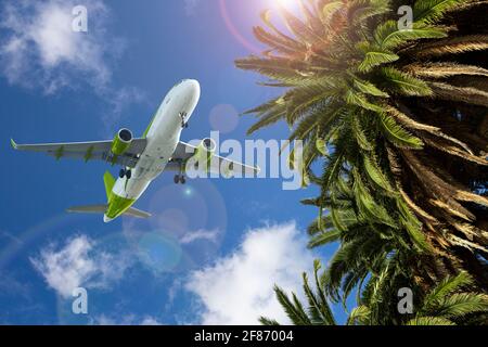 Palme sullo sfondo del piano nel cielo. Concetto di viaggio estivo Foto Stock