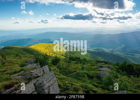 prato alpino dei carpazi in estate. vista sulla valle lontana in luce pomeridiana. bellissimo paesaggio naturale soleggiato con nuvole sul Foto Stock