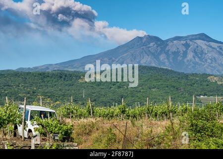 Vigneti siciliani con eruzione del vulcano Etna sullo sfondo in Sicilia, Italia Foto Stock