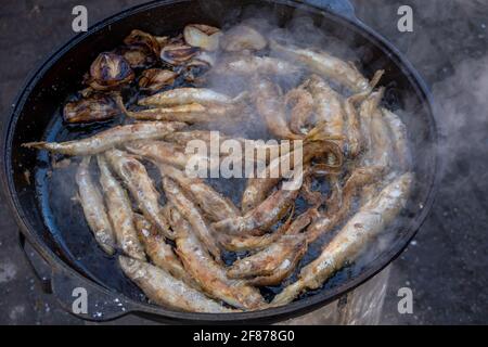 Da sopra fondenti freschi friggere in olio caldo in metallo pan durante il picnic Foto Stock