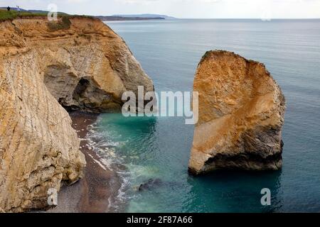 Seastacks, Freshwater Bay, Tennyson Down, Isle of Wight, Inghilterra, Regno Unito, Foto Stock